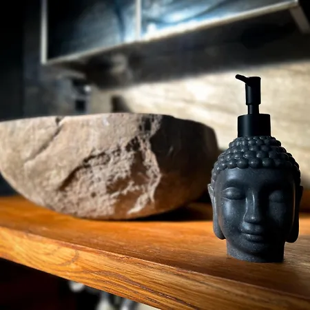 Wachwitzgrund Appartamento