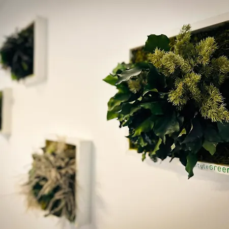 Appartamento Wachwitzgrund *