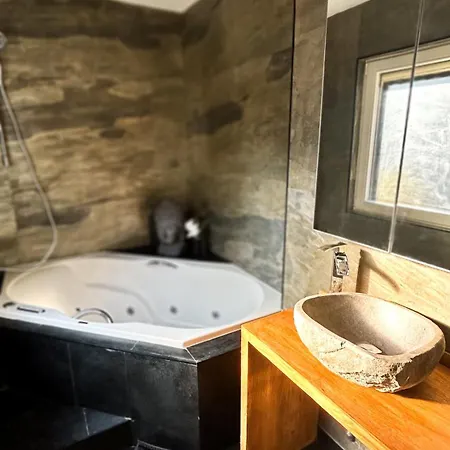 Wachwitzgrund Lägenhet Dresden