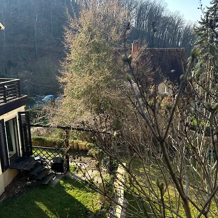 Wachwitzgrund * Dresden