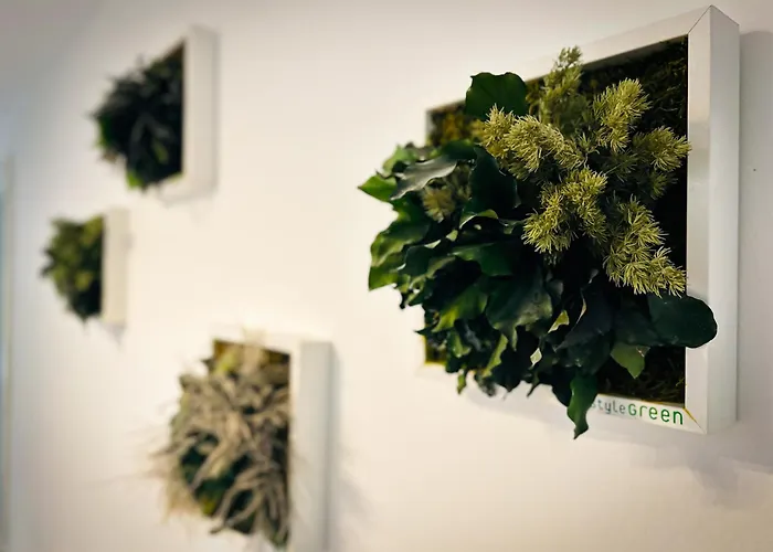 Apartment Wachwitzgrund *