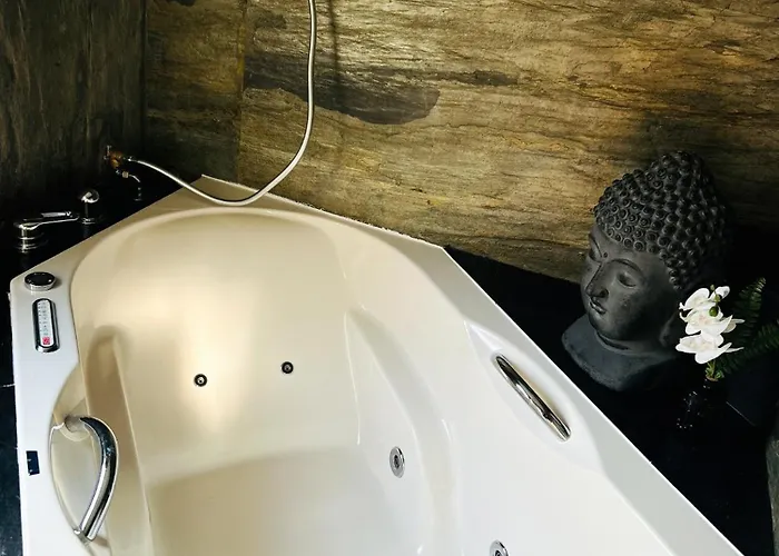 Apartment Wachwitzgrund *