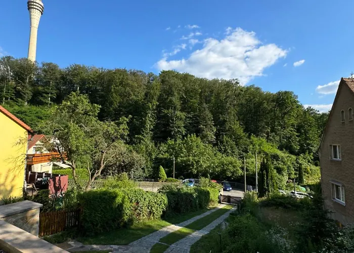 Apartment Wachwitzgrund *