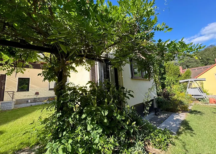 Wachwitzgrund * Dresden