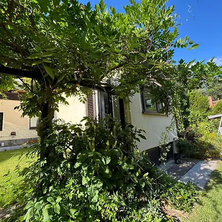 Wachwitzgrund * 德累斯顿